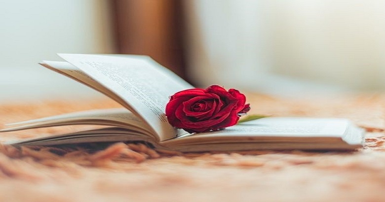 Finding the Perfect Romance Novel